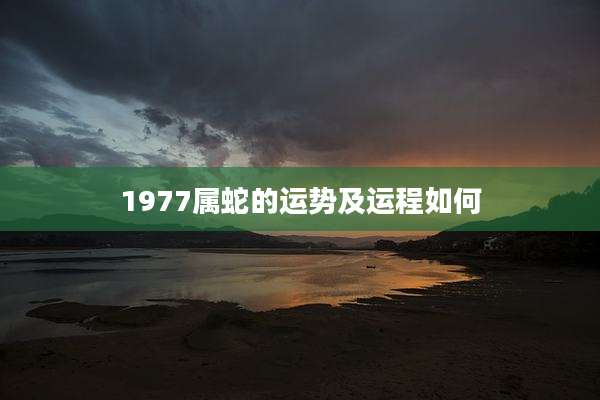 1977属蛇的运势及运程如何