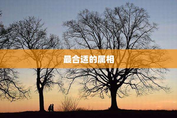 最合适的属相