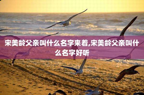 宋美龄父亲叫什么名字来着,宋美龄父亲叫什么名字好听