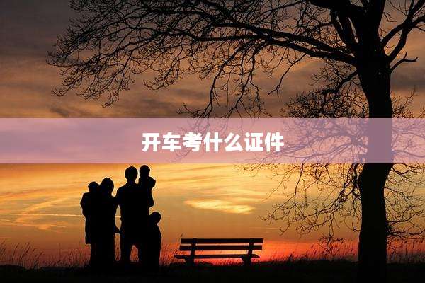 开车考什么证件