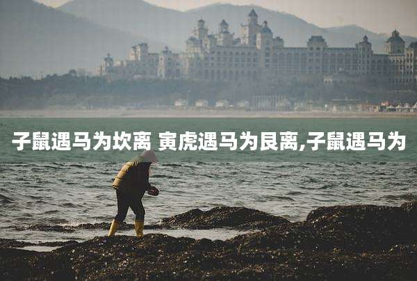 子鼠遇马为坎离 寅虎遇马为艮离,子鼠遇马为