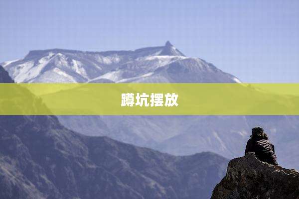 蹲坑摆放