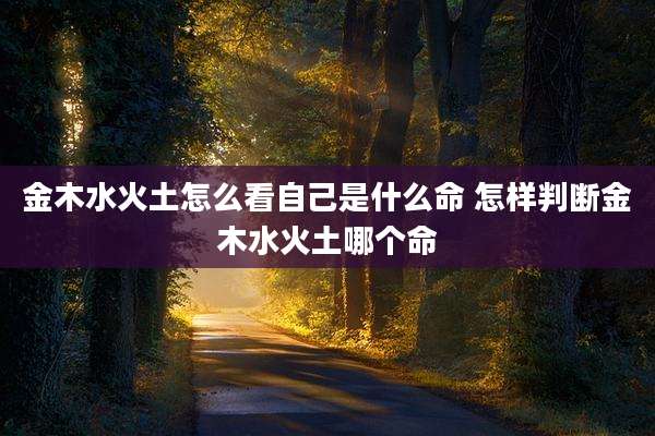 金木水火土怎么看自己是什么命 怎样判断金木水火土哪个命