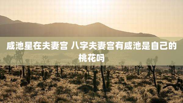 咸池星在夫妻宫 八字夫妻宫有咸池是自己的桃花吗
