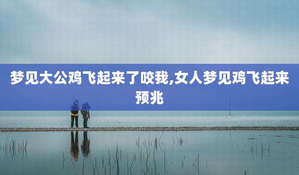 梦见大公鸡飞起来了咬我,女人梦见鸡飞起来预兆