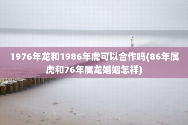 1976年龙和1986年虎可以合作吗(86年属虎和76年属龙婚姻怎样)