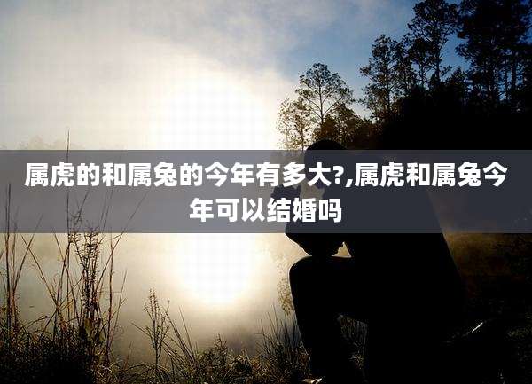 属虎的和属兔的今年有多大?,属虎和属兔今年可以结婚吗