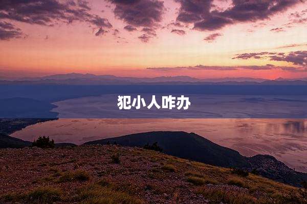 犯小人咋办
