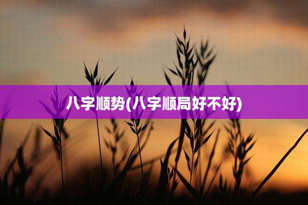 八字顺势(八字顺局好不好)