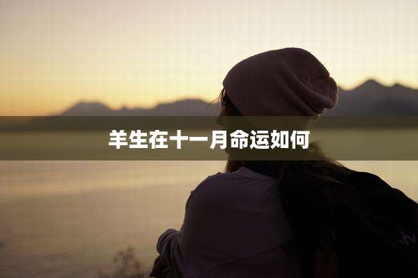 羊生在十一月命运如何