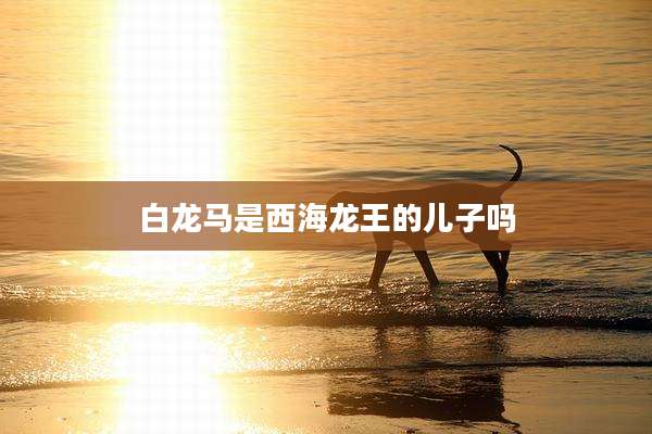 白龙马是西海龙王的儿子吗