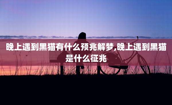 晚上遇到黑猫有什么预兆解梦,晚上遇到黑猫是什么征兆
