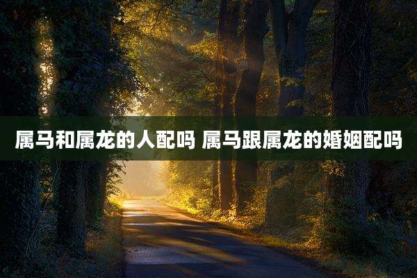 属马和属龙的人配吗 属马跟属龙的婚姻配吗