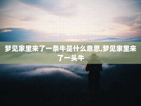 梦见家里来了一条牛是什么意思,梦见家里来了一头牛