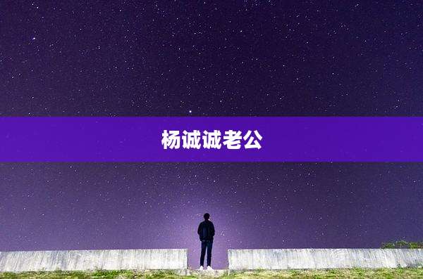 杨诚诚老公