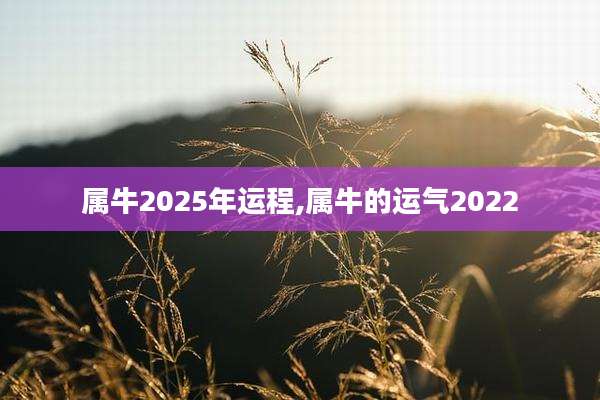 属牛2025年运程,属牛的运气2022