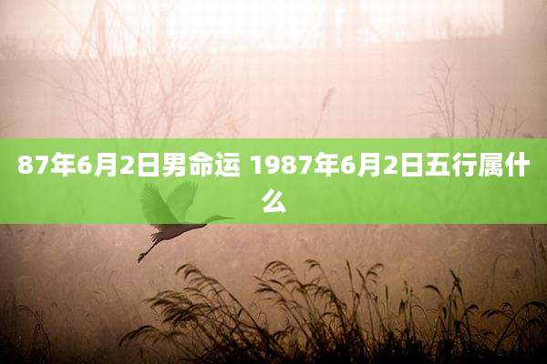 87年6月2日男命运 1987年6月2日五行属什么