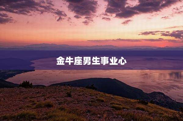 金牛座男生事业心