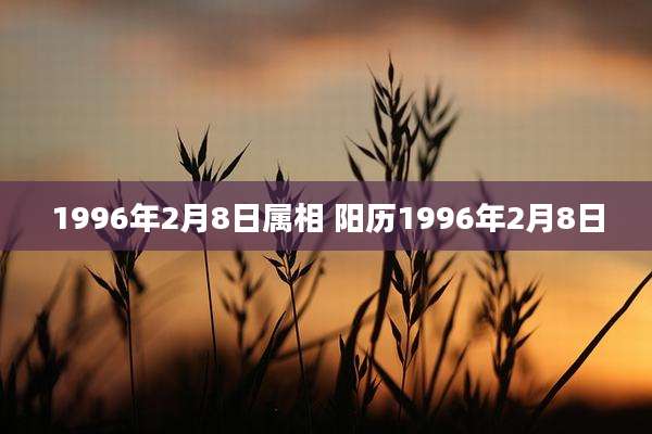 1996年2月8日属相 阳历1996年2月8日