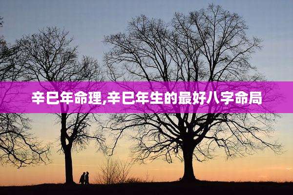 辛巳年命理,辛巳年生的最好八字命局