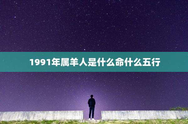 1991年属羊人是什么命什么五行