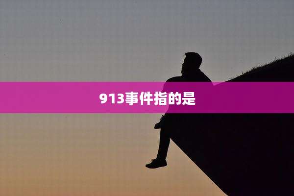 913事件指的是