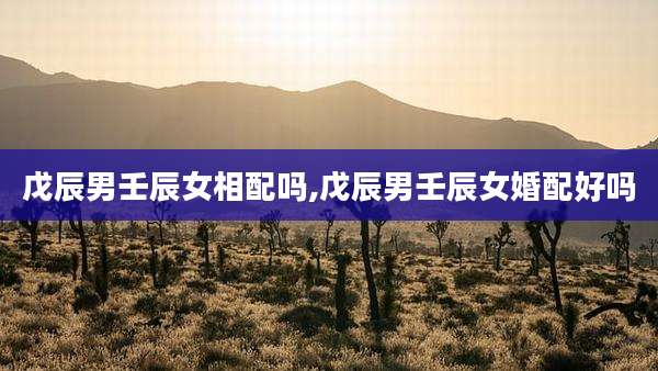 戊辰男壬辰女相配吗,戊辰男壬辰女婚配好吗