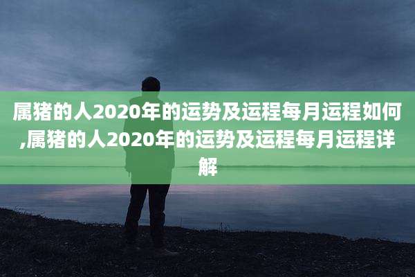 属猪的人2020年的运势及运程每月运程如何,属猪的人2020年的运势及运程每月运程详解