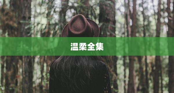 温柔全集