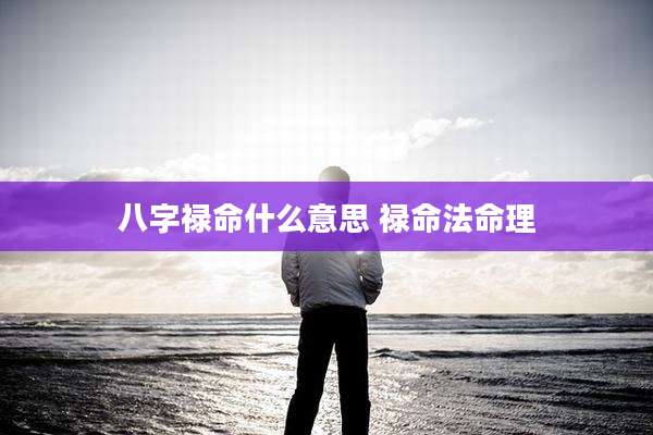 八字禄命什么意思 禄命法命理