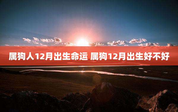 属狗人12月出生命运 属狗12月出生好不好