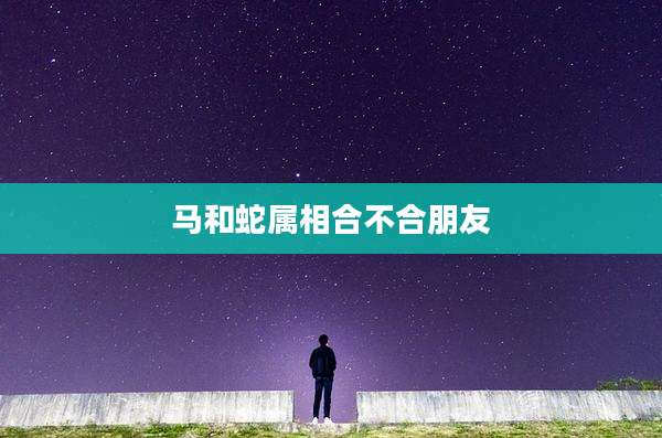 马和蛇属相合不合朋友
