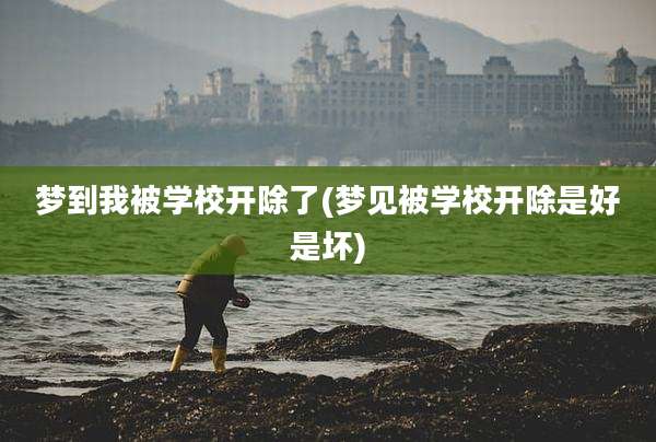 梦到我被学校开除了(梦见被学校开除是好是坏)