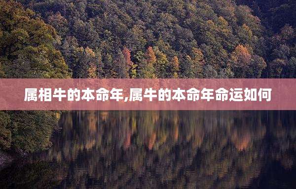 属相牛的本命年,属牛的本命年命运如何