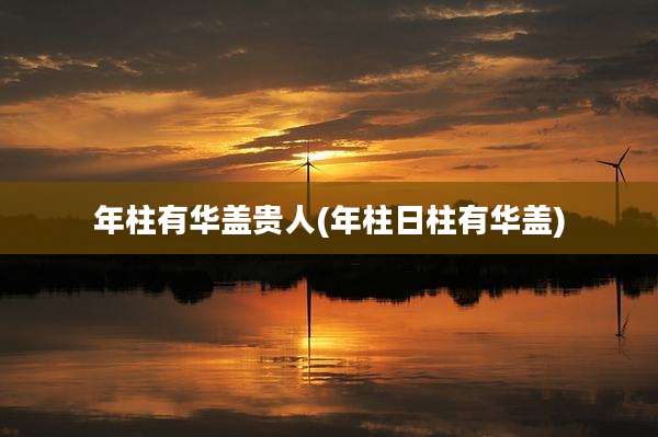 年柱有华盖贵人(年柱日柱有华盖)
