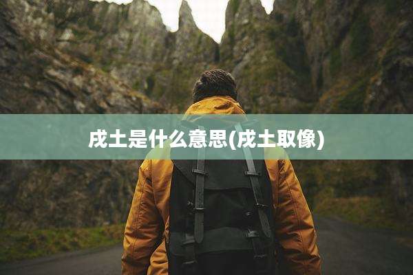 戌土是什么意思(戌土取像)