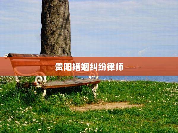 贵阳婚姻纠纷律师