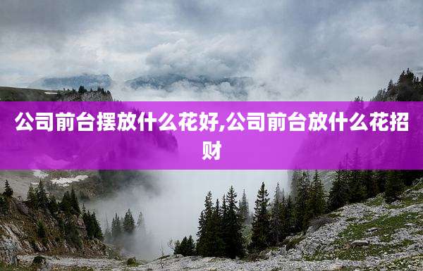 公司前台摆放什么花好,公司前台放什么花招财