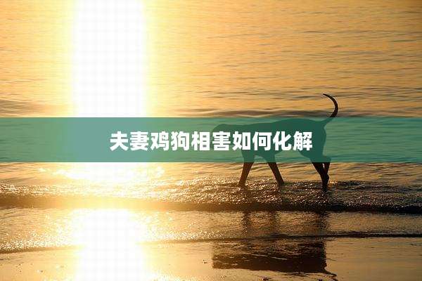 夫妻鸡狗相害如何化解