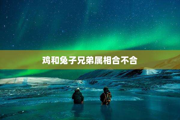 鸡和兔子兄弟属相合不合
