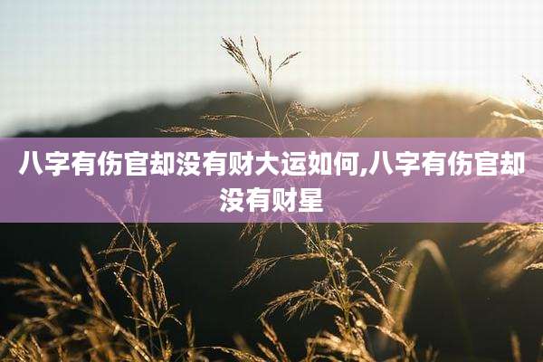 八字有伤官却没有财大运如何,八字有伤官却没有财星