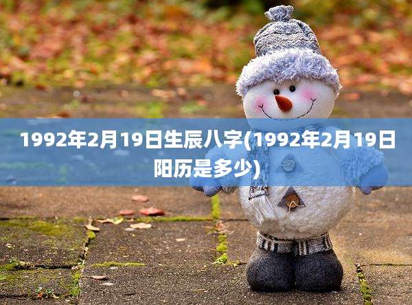 1992年2月19日生辰八字(1992年2月19日阳历是多少)