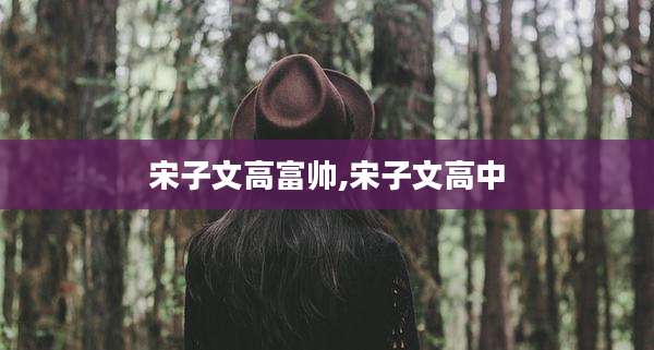 宋子文高富帅,宋子文高中