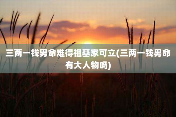 三两一钱男命难得祖基家可立(三两一钱男命有大人物吗)