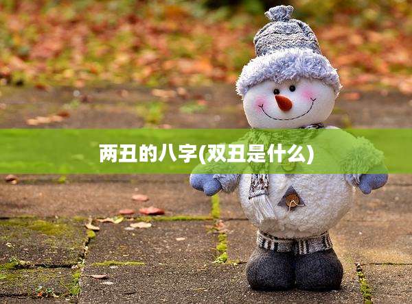 两丑的八字(双丑是什么)