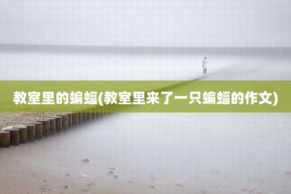 教室里的蝙蝠(教室里来了一只蝙蝠的作文)