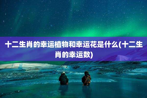 十二生肖的幸运植物和幸运花是什么(十二生肖的幸运数)