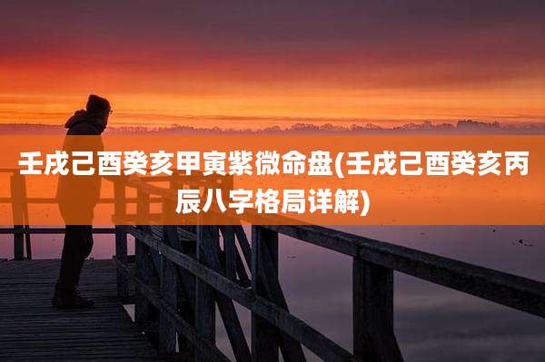 壬戌己酉癸亥甲寅紫微命盘(壬戌己酉癸亥丙辰八字格局详解)