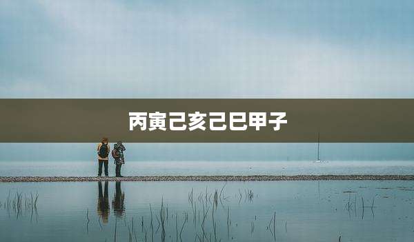 丙寅己亥己巳甲子