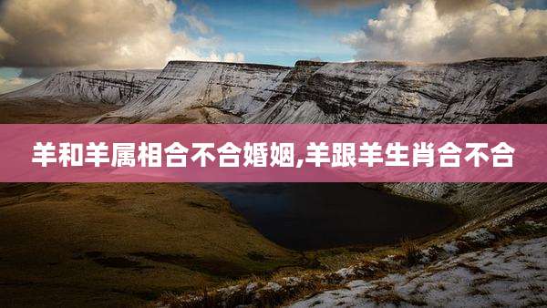 羊和羊属相合不合婚姻,羊跟羊生肖合不合